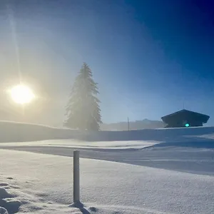https://maiers-fewo.com-bavaria.com